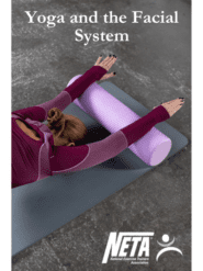 Yoga and the Fascial System