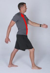 Figure 1: Lengthening of the abdominals to absorb impact