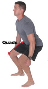 Figure 1: Lengthening on the Quadriceps Muscles to Slow Knee and Hip Flexion 