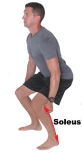 Figure 2: Lengthening on the Soleus Muscle to Slow Ankle and Knee Flexion