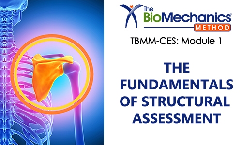 The Fundamentals of Structural Assessment for corrective exercise specialists