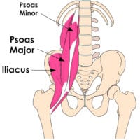 Hip Flexor Strain. Causes, Symptoms and Treatment