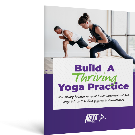 Build a Thriving Yoga Practice brochure